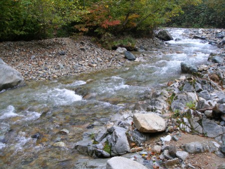 c0037553_1195884.jpg