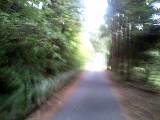 c0039153_102627.jpg