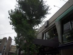 d0083265_175149.jpg