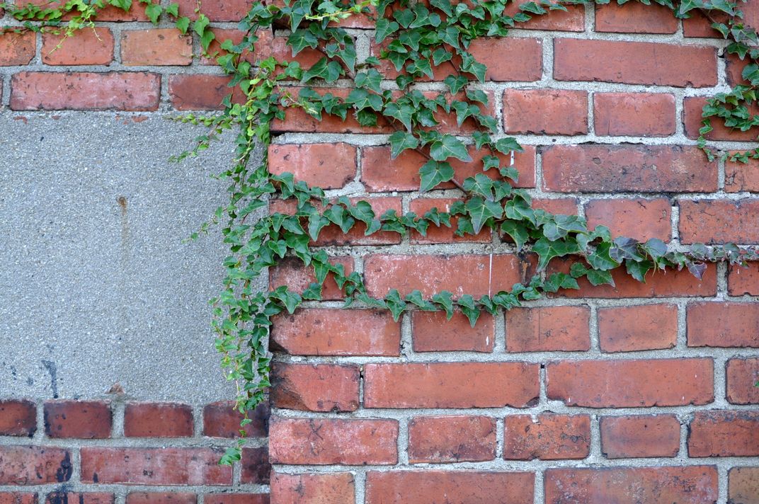 b0205066_4521860.jpg