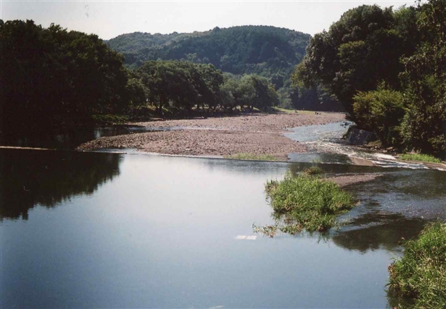 c0082066_2314523.jpg