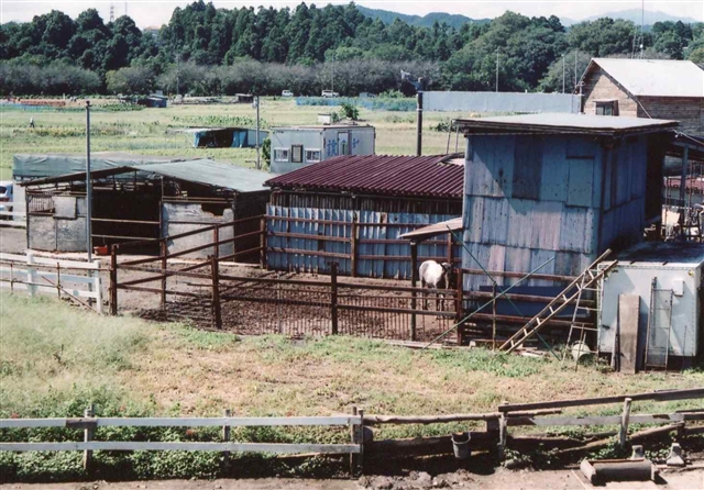 c0082066_2332750.jpg