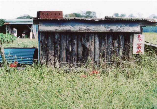 c0082066_2343684.jpg