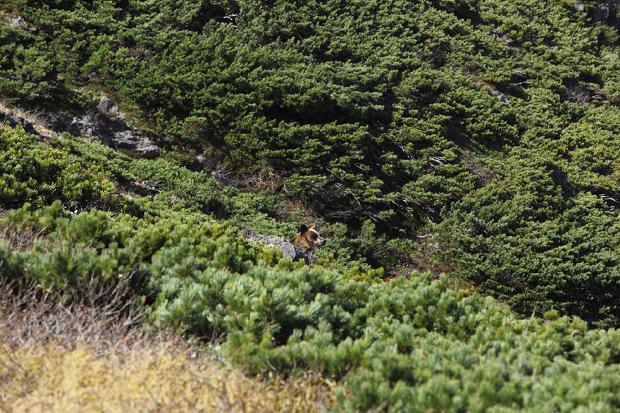 f0054366_1472111.jpg