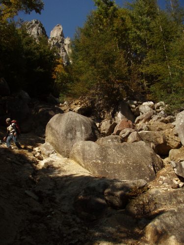 b0050067_1584235.jpg