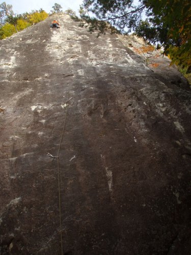 b0050067_21448.jpg
