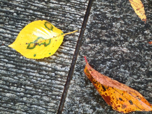 c0171468_22133060.jpg