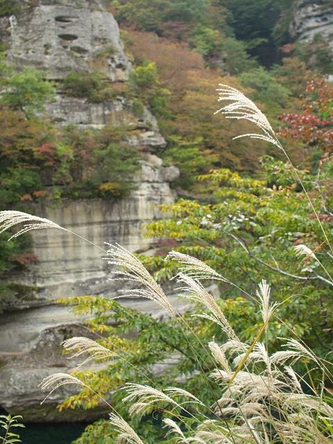 e0078071_16592749.jpg