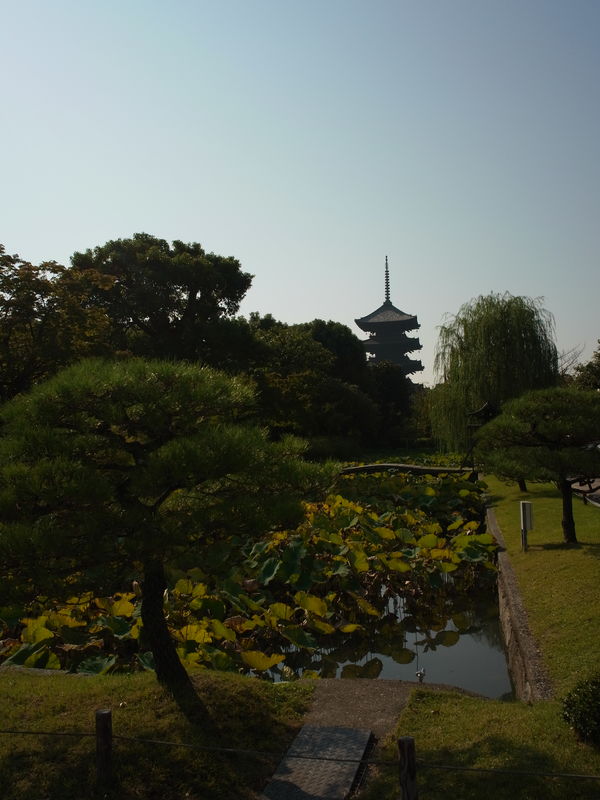 c0177576_335745.jpg