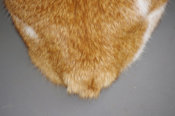 f0054677_8285159.jpg