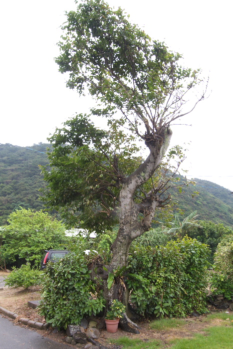 f0090680_23363924.jpg