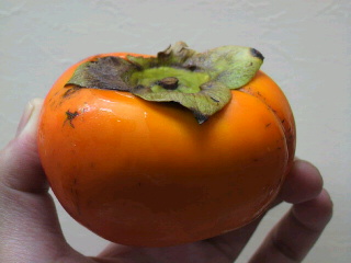 c0096582_23381475.jpg