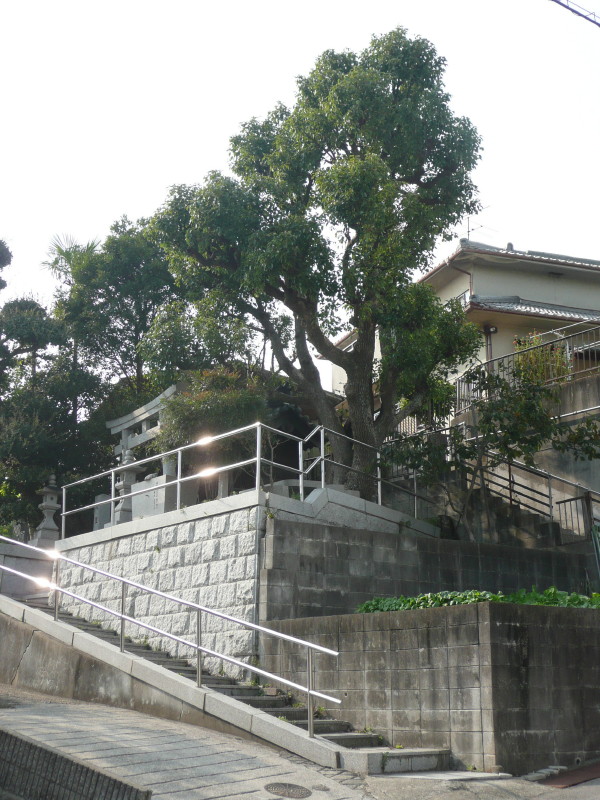 b0118987_18142779.jpg