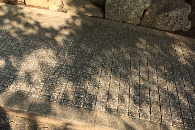 d0217090_2345100.jpg