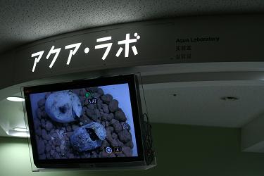 d0064399_11374124.jpg