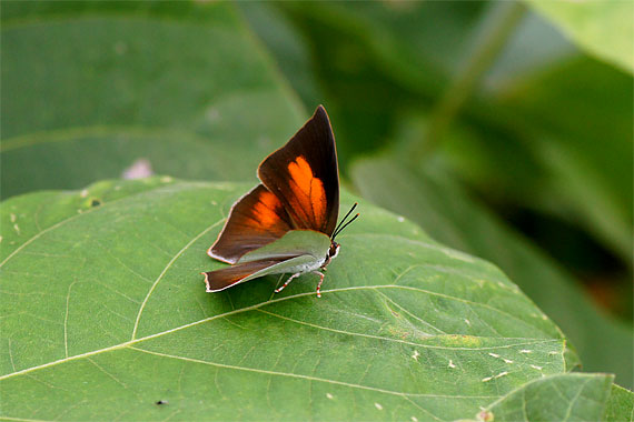 d0001300_21151083.jpg