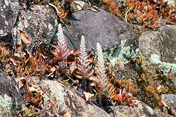 d0001300_2134384.jpg