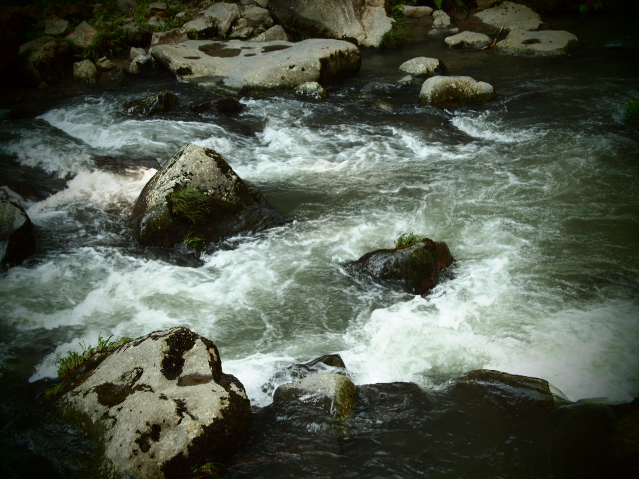 f0236201_8474577.jpg