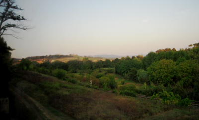 a0060003_23502884.jpg