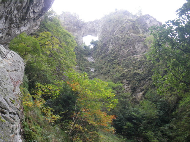 d0006512_23481676.jpg