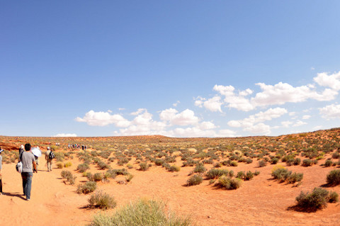 f0046614_1645376.jpg