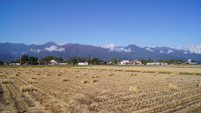 f0233414_204061.jpg