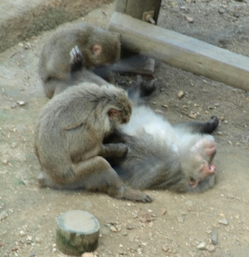 d0114517_10315079.jpg