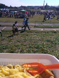 e0112619_1752763.jpg
