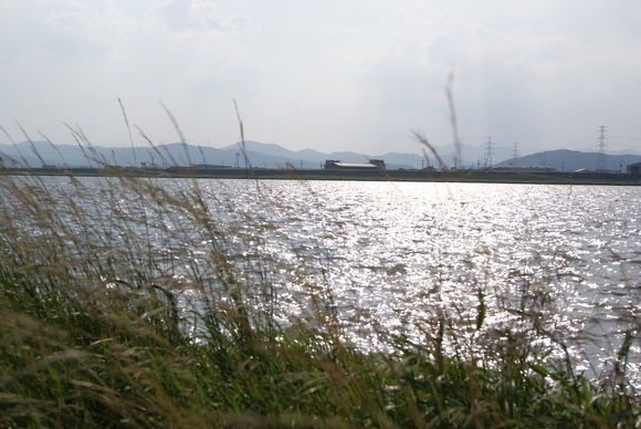c0020320_17414044.jpg