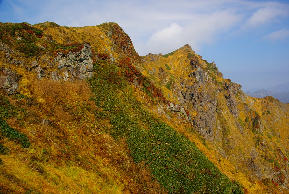 b0062024_1535137.jpg