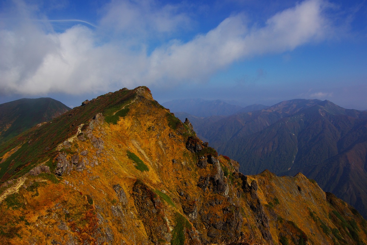 b0062024_15401688.jpg