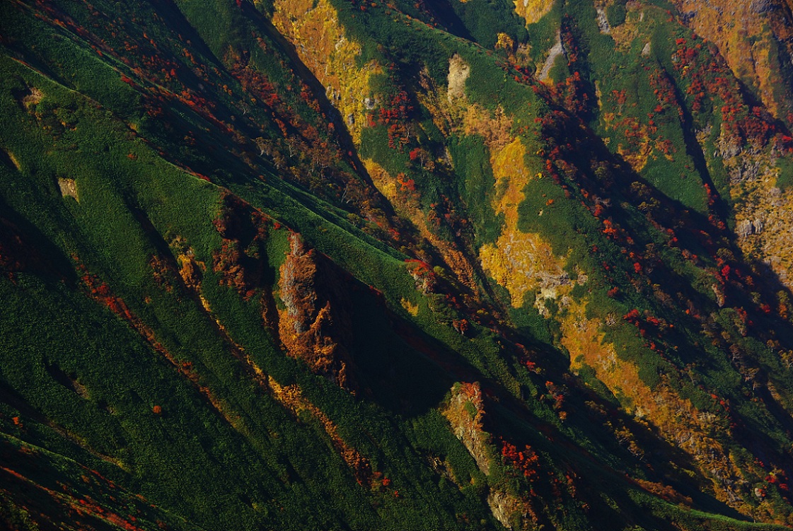 b0062024_1545769.jpg