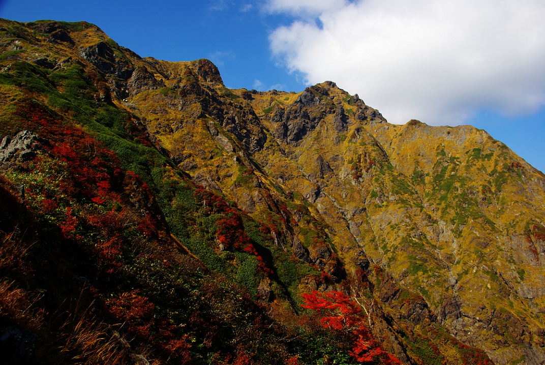 b0062024_1546331.jpg