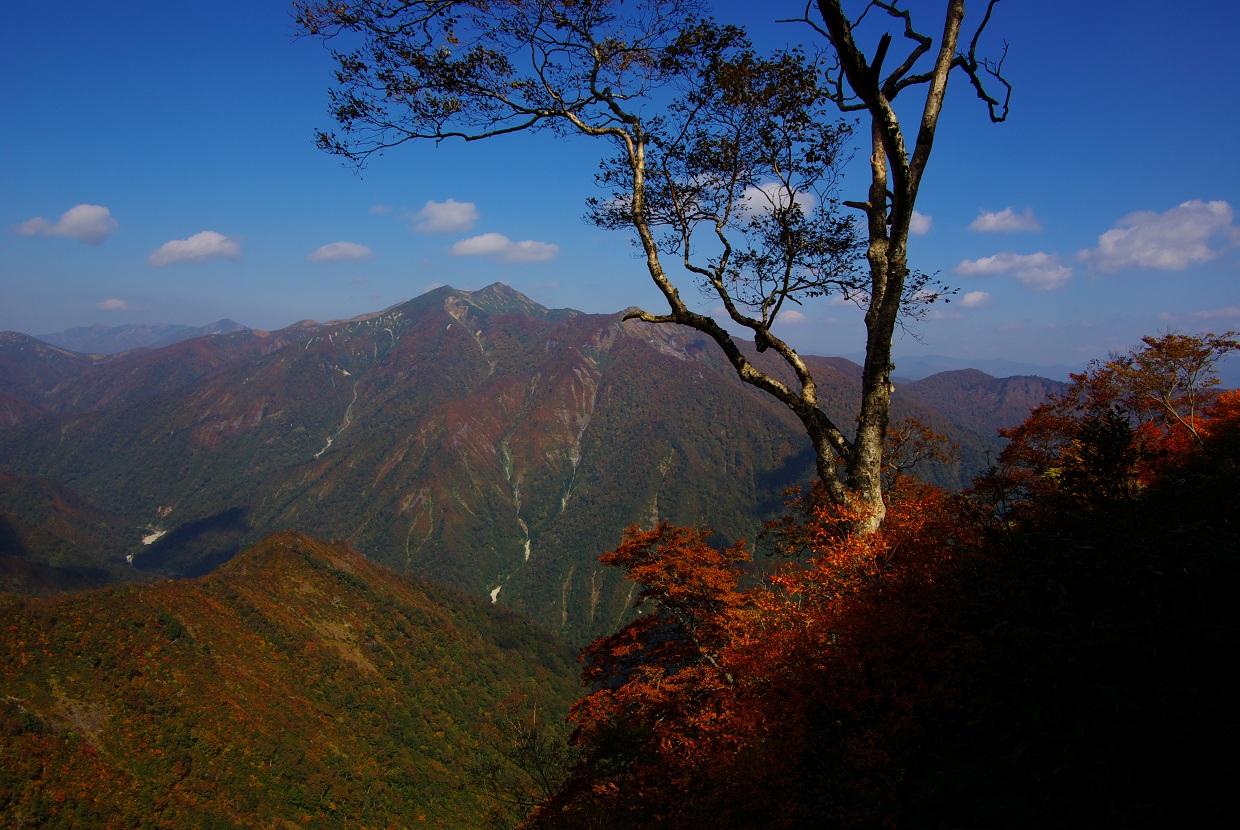 b0062024_15485066.jpg