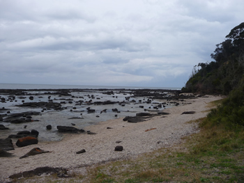 c0013324_14102490.jpg