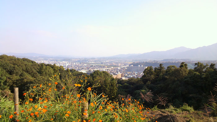 c0172724_20505251.jpg