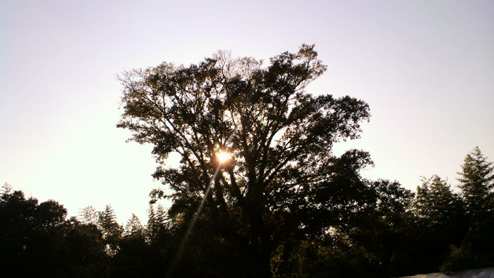 c0172724_20571721.jpg