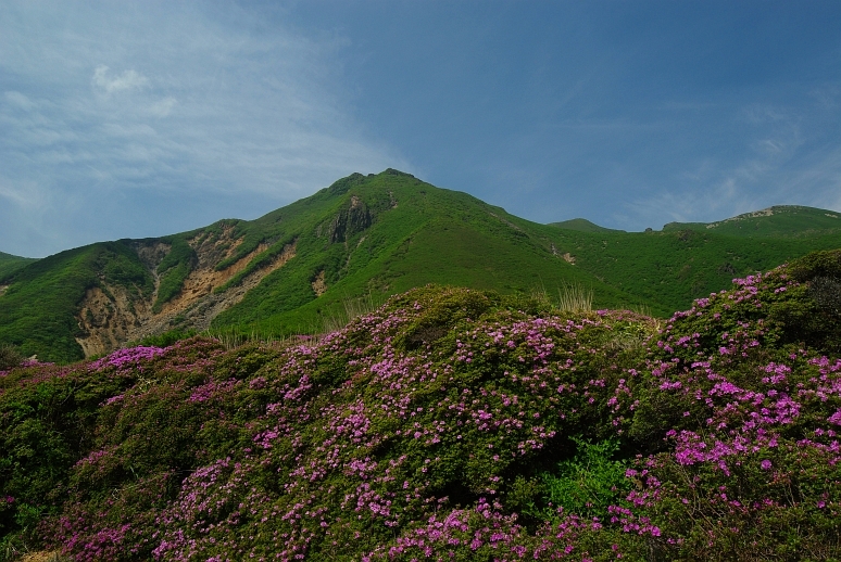 c0180824_15563310.jpg