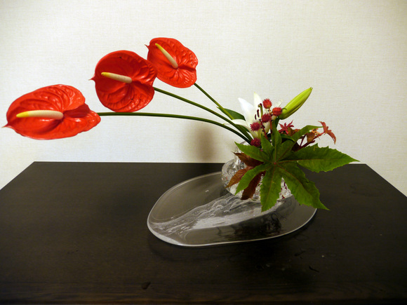 f0045630_843448.jpg