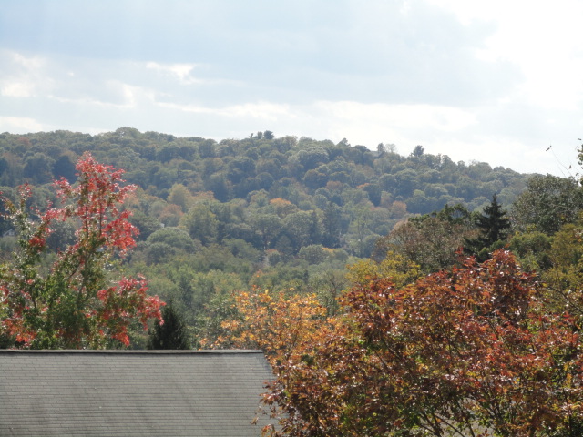 a0224537_495934.jpg