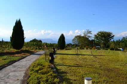 e0228938_21431325.jpg