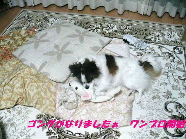 a0149240_1141551.jpg