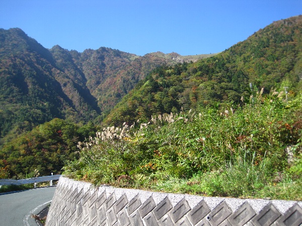 b0149340_1949379.jpg