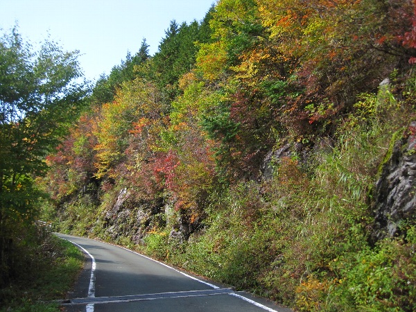 b0149340_19541176.jpg