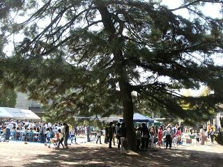 a0124543_1612384.jpg