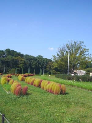 e0100046_1553218.jpg