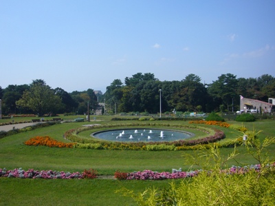 e0100046_1557151.jpg