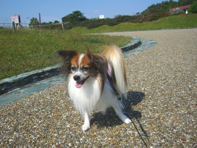 e0100046_15592367.jpg