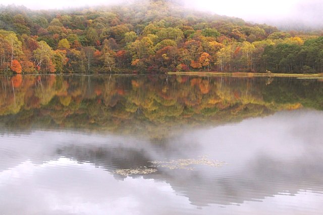 b0122448_22342743.jpg