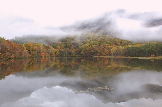 b0122448_22415983.jpg